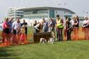 The Omni Terrier Derby includes dozens of barking mad terriers racing at the world-famous Derby Course and the Epsom Downs Racecourse on Sunday, August 27