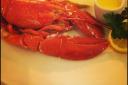 1.25 pounder steamed lobster
