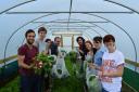 Volunteers harvest organic produce on campus