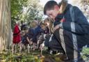 Schoolchildren to plant 440 crosses to remember Epsom's war dead