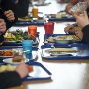 The free school meal scheme will be extended to eligible children this summer.