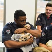 Fire crews get friendly with dogs at Battersea Dogs and Cats Home. Images (C) Battersea Dogs and Cats Home