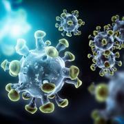 New coronavirus omicron variant