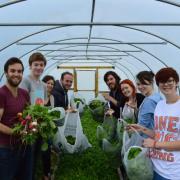 Volunteers harvest organic produce on campus