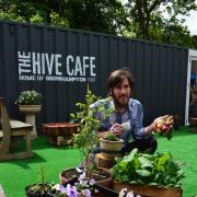 Joel Williams at The Hive Cafe