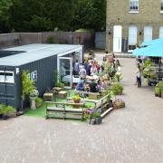 The award-winning Hive Cafe at the University of Roehampton