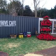 The impressive poinsettia Christmas tree at The Hive Cafe
