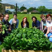 The Growhampton team harvesting some of the crops which are sold on market day