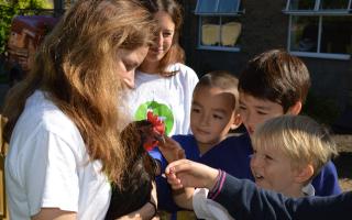 Local school children have recently met Growhampton's family of on campus chickens