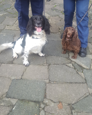 Small but mighty police dog sniffs out bag of cash and drugs leading to two arrests