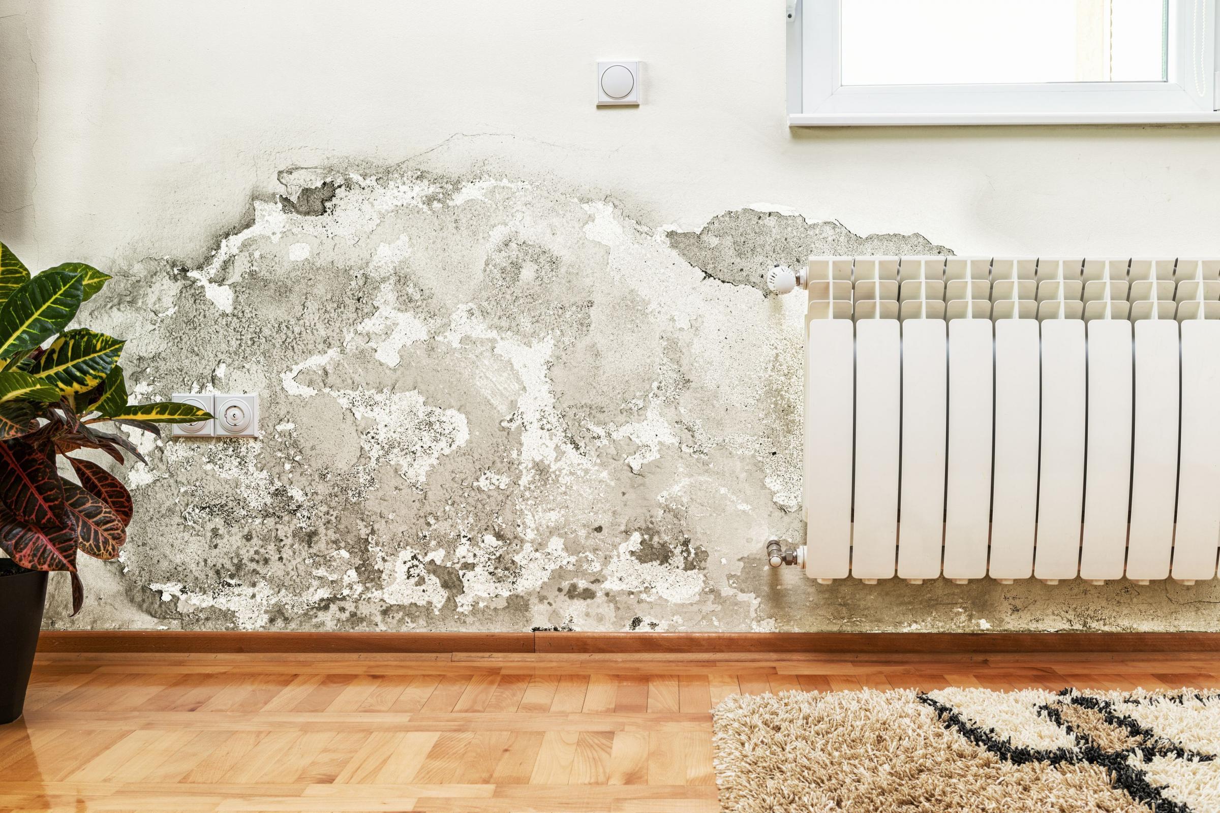 Got damp in your home? These 6 tips might help you tackle it