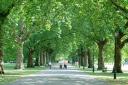 Battersea Park lamp-posts to be upgraded