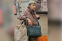 Leyli, who was born in 1950, was last seen at Heathrow Airport on March 28 / Image: Wandsworth police