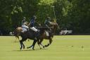 Leading the way: Juan Cruz Araya Martellis, in blue, takes the game to Flying Foxes in Sunday's Ham House Trophy final