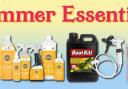 FabFinds has many summer essentials on its website