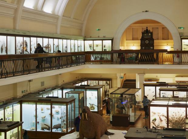 Wandsworth Times: Horniman Museum and Gardens (PA)