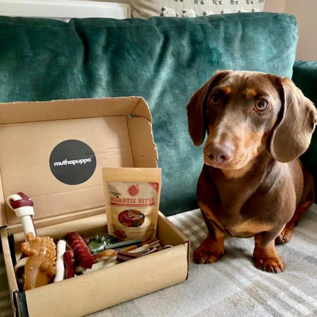 Wandsworth Times: An online dog shop selling sustainable treats, toys and care items, muthapuppa company pledges that 100 per cent of its profits will go towards its goal to rescue dogs