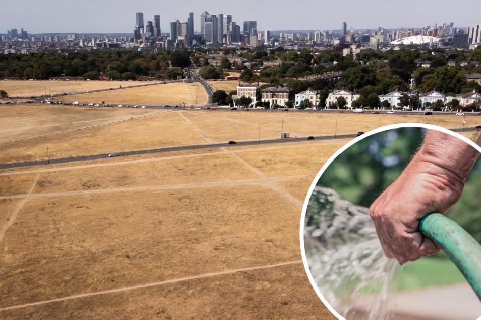 Hose ban for London amid heatwave says Thames Water