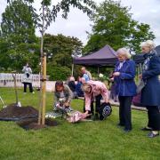 Battersea Big Dipper disaster tree-planting ceremony on May 30 (photo: Wandsworth Council)